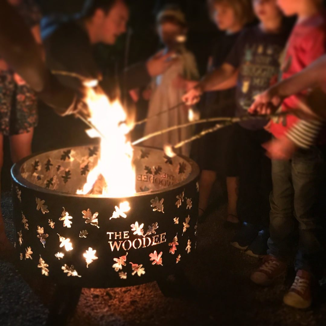 Fire in fire pit with children toasting marshmallows