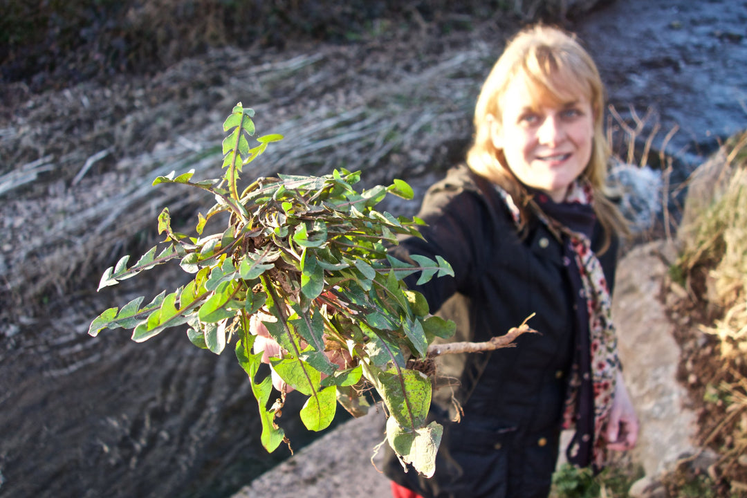 Midwinter foraging