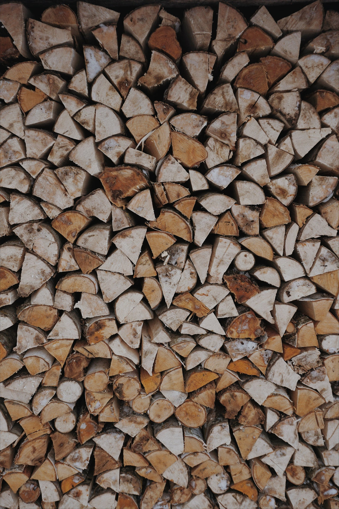 How to season and dry your own wood
