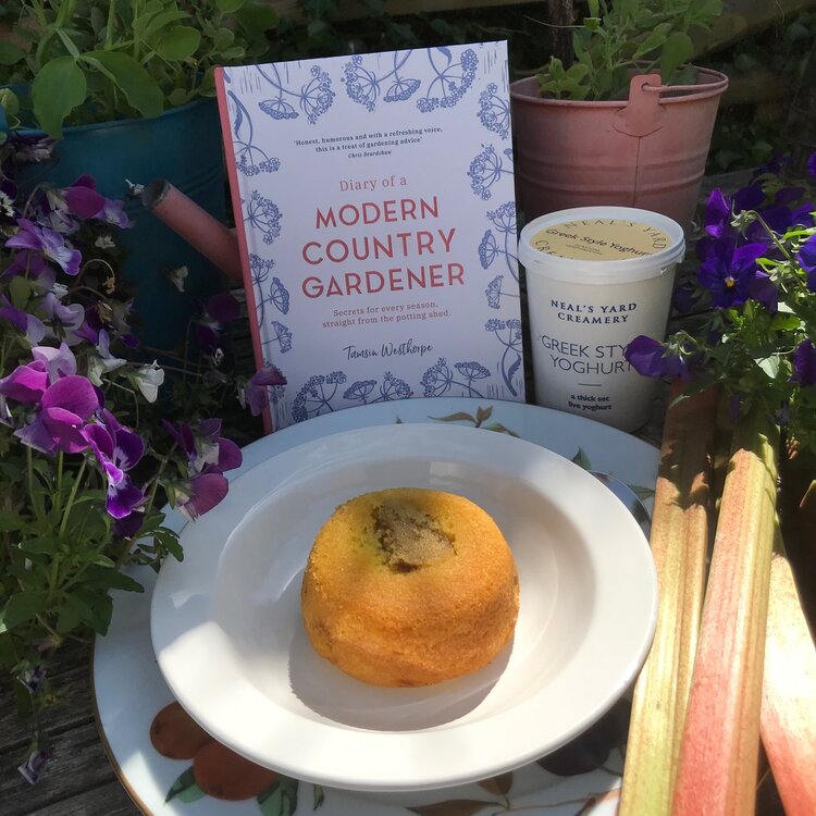 Rhubarb upside-down Cakes